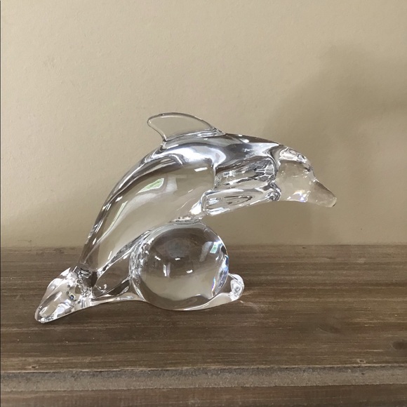 Other - Mikasa Dolphin 🐬